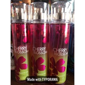 Bath and Body Works Bundle